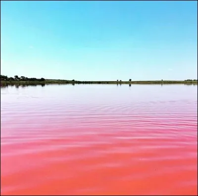"Malinovoye", tel est le nom de ce lac de l'Altaï : ce qui veut dire ... (Complétez !) Quelle est la particularité de son sel ?