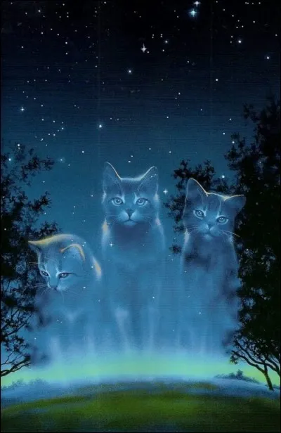 Crois-tu au Clan des Étoiles ?