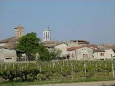 Nous partons dans les Cévennes, à Saint-Alban-Auriolles. Village d'Auvergne-Rhône-Alpes, dans la vallée du Chassezac, il se situe dans le département ...
