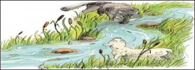 De quoi accusa-t-il le jeune animal ?