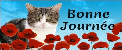 Culture geek : Qu'est-ce qui peut bien empêcher d'accéder à un site ?