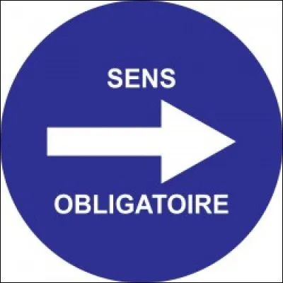 Si vous &ecirc;tes atteint d'astigmatisme, quel sens vous fait d&eacute;faut ?