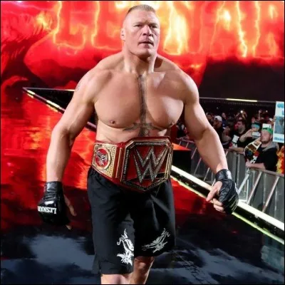 Qui est le finisher de Brock Lesnar ?