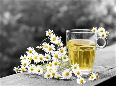 Quel animal a donné son nom au "récipient" d'une contenance de 2, 5 L, destiné à servir des verres de bière ?