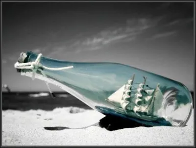 Quel alcool était le "péché mignon" du capitaine Haddock ?