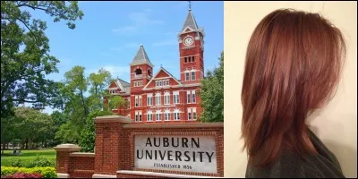 Lettre « U » Comme « USA » !
Dans le genre lois idiotes ou bizarres, il y en a dans tous les pays du monde, mais, celle-là, elle détient le « pompon » ! Allons dans la ville d'Auburn (état du Washington) où une loi interdit la défloraison d'une vierge, quel que soit son statut et son âge !
Que risquez-vous ?