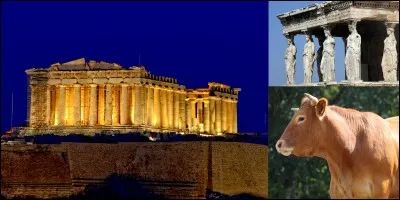 Lettre « H » comme « Hécatombe » !
Ce mot signifie « Massacre, destruction d'un grand nombre de personnes ou d'animaux » ou « Grand nombre de personnes atteintes ou éliminées par quelque chose » (Larousse). Mais il existe une autre signification, c'est, d'ailleurs, la signification originelle de ce mot !
Quelle en est cette signification ?