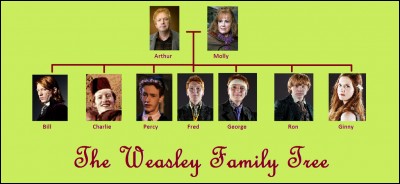 Quelle est ta famille préférée parmi celles de la saga Harry Potter ?