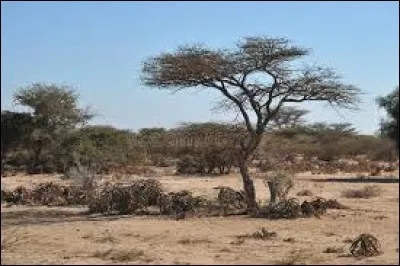 La Somalie est un pays enclavé (sans accès à l'océan).