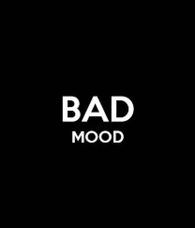 Comment traduisez-vous "bad mood" en français ?