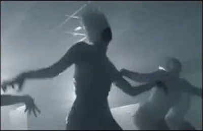 Laquelle de ces chanteuses a sorti le titre "Bad Romance" en 2010 ?