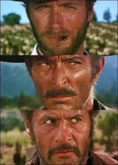 "The Good, the Bad and the Ugly" est le titre anglais du célèbre western spaghetti réalisé par Sergio Leone en 1966.
Who's the Bad ?