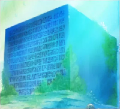 Comment se nomment les blocs de pierres lisibles par Nico Robin ?