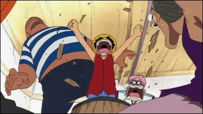 Quel &acirc;ge a Luffy au d&eacute;but de son aventure ?