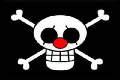 &Agrave; qui appartient ce drapeau ?