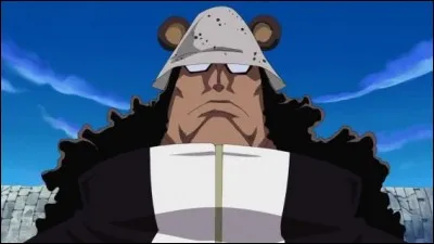 Qui a &eacute;t&eacute; un Shichibukai ?