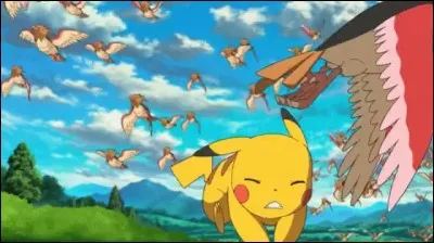 Ton Pikachu se fait attaquer par des Roucool sauvages ! Que fais-tu ?