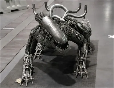 Expert en déménagements, c'est l'...