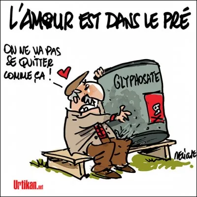 Car je vais voir ma famille dans le ..., ces gens-là ne sont pas très fiers !