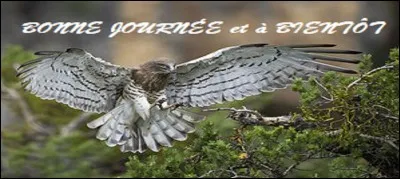 Une dernière question simple : de quelle espèce fait-il partie ?