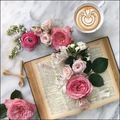 Qui est l'auteur du livre "Les Travailleurs de la mer" ?