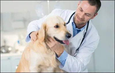 Quel est ce métier ?