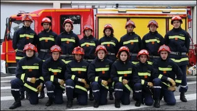 Quel est leur métier ?