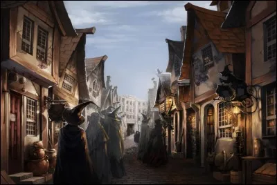 Au chemin de Traverse quelle boutique vas-tu voir en premier ?