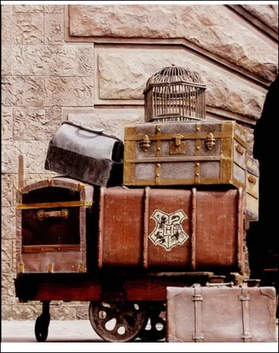 Dans ta valise, tu as...