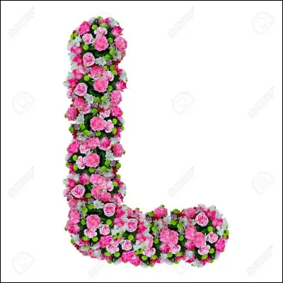 Quelle lettre se trouve apr&egrave;s L ?