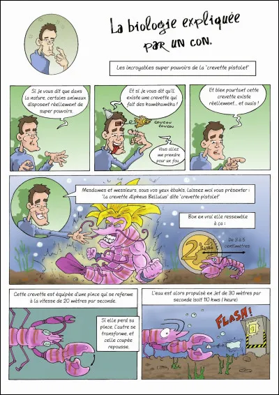 Retrouvez ci-dessous l'incroyable crevette-pistolet !