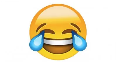 Que disent les Français après une blague nulle ?