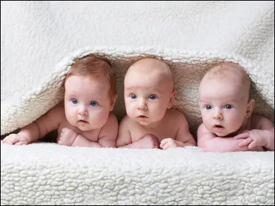 À quelle période a eu lieu le baby boom (pic de la natalité) en France ?