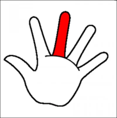 Comment s'appelle ce doigt ?