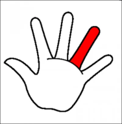 Comment s'appelle ce doigt ?