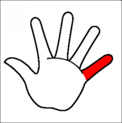 Comment s'appelle ce doigt ?