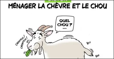 Trouvez, ci-dessous, l'animal correspondant à l'expression : Ménager la chèvre et le chou !