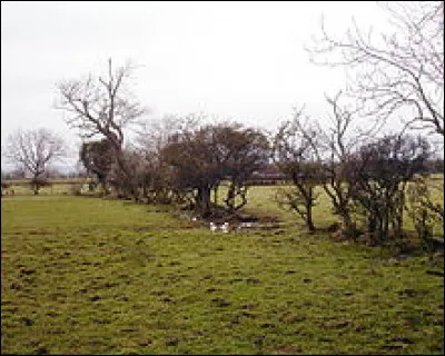 Qu'est-ce que "le mouvement des enclosures" dans l'Angleterre du XVIIe siècle ?