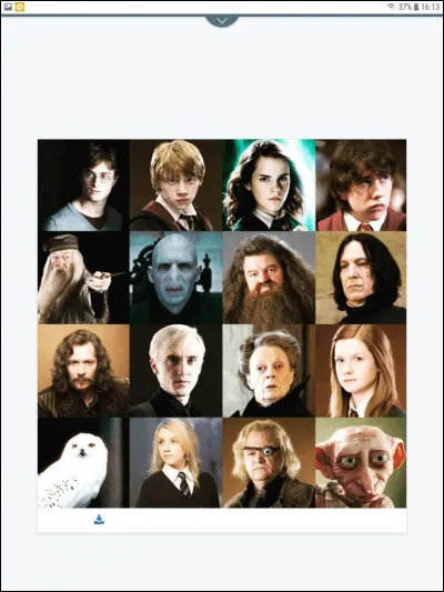 Avec quel garcon aimerais-tu te marier ?