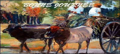 Si je vous offre une boisson désignée du nom de Clément, que vais-je vous servir ?