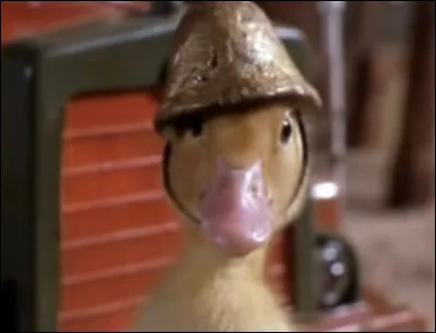 Quel est le nom de cette série télévisée qui met en scène un canard caractériel et agent secret ?