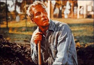 Il est Lucas Jackson dans ce film