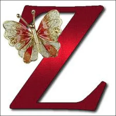 C'est le film de Zidi !