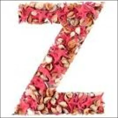 C'est tout un programme !