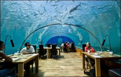 Au dîner, vous mangez...