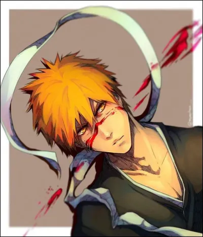 À quel anime appartient Ichigo Kurosaki ?