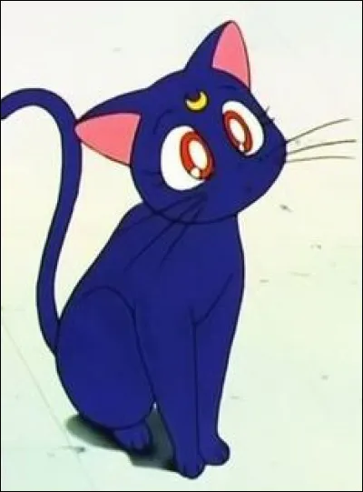 À quel anime appartient Luna ?