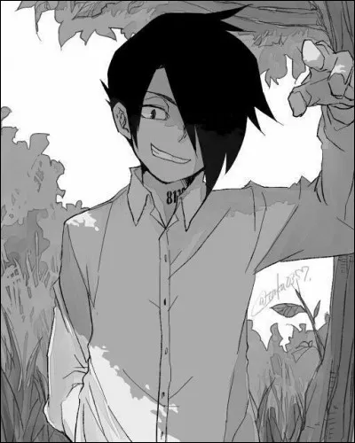 À quel anime appartient Ray ?