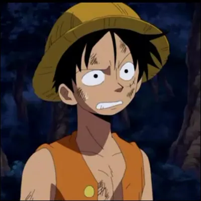 Avec qui Luffy a-t-il fait une alliance ?