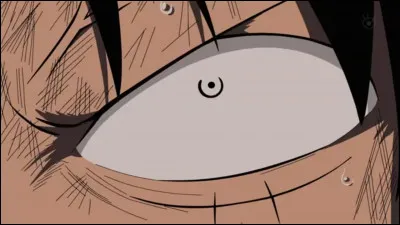 Qu'est-ce que Luffy aime par dessus tout ?
